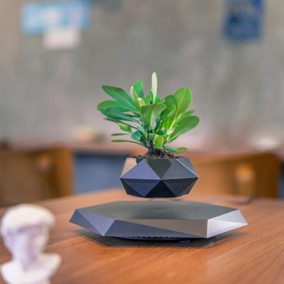 Levitation Plants Pot Table Plants Display